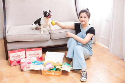 Discover Pet Happiness: Key Items for Your Pet’s Comfort and Joy