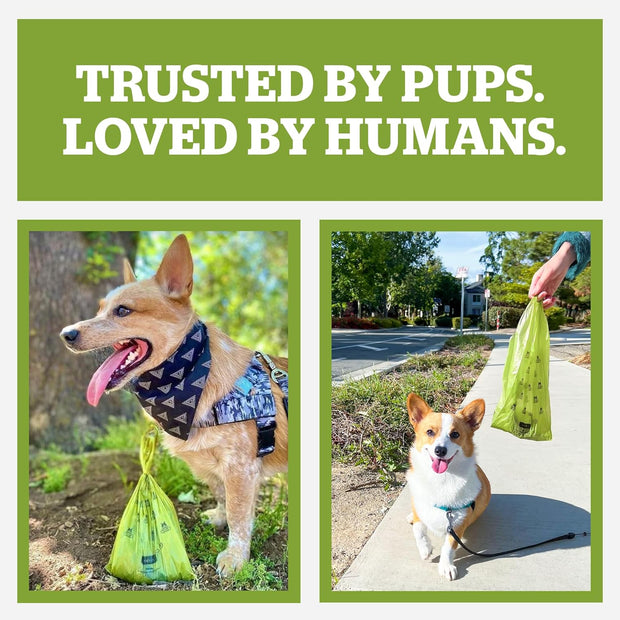 Pogi’S Dog Poop Bags – Leak-Proof & Extra Thick Pet Waste Bags (Fresh Scent, 10 Rolls, 150-Count).