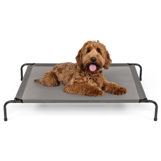 Elevated Dog Bed